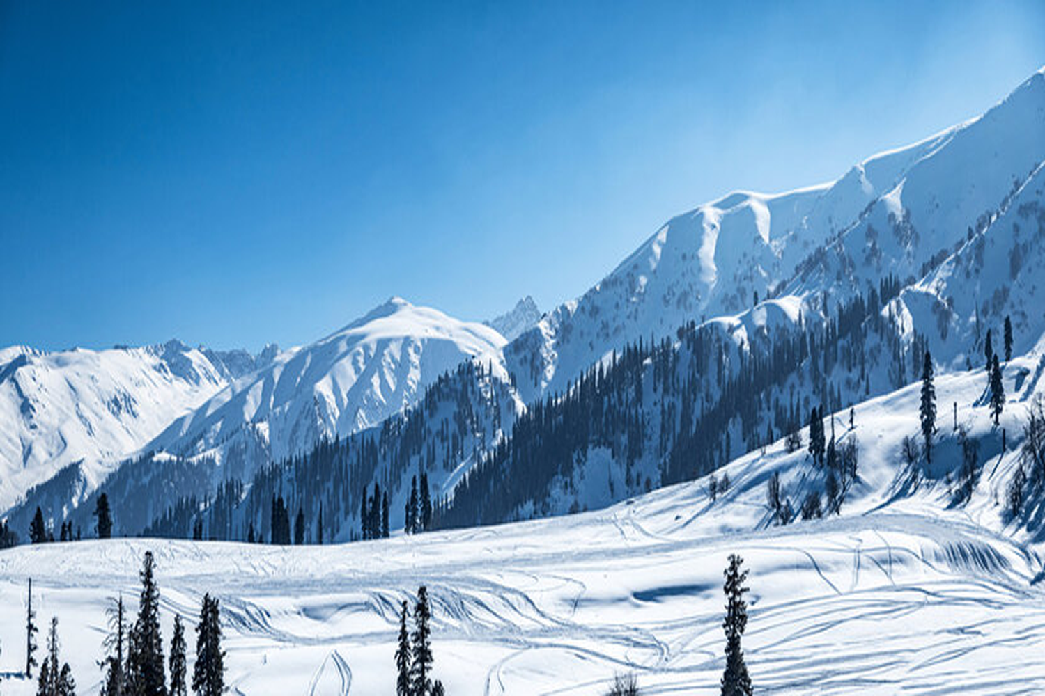 Paradise Gulmarg