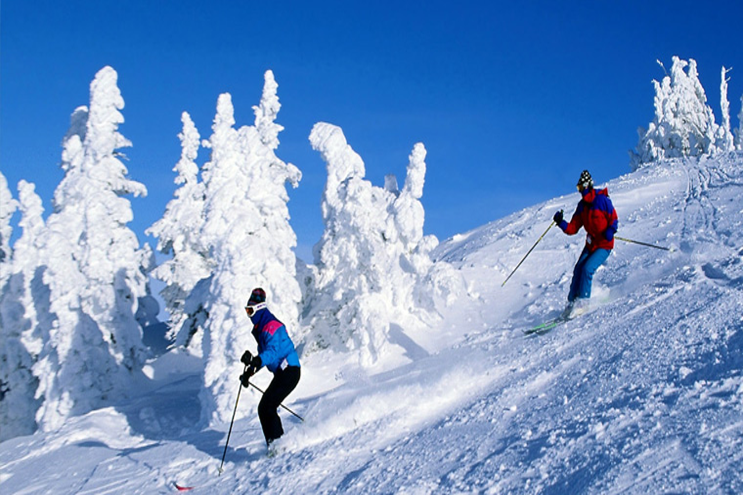 Shimla Manali