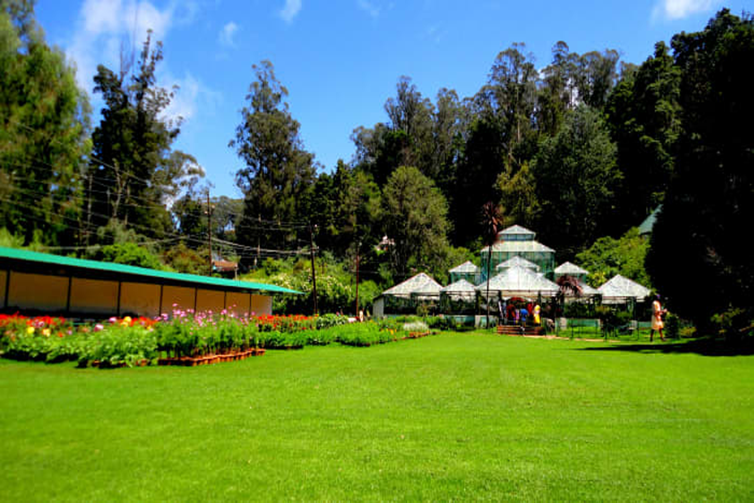 Charming Ooty