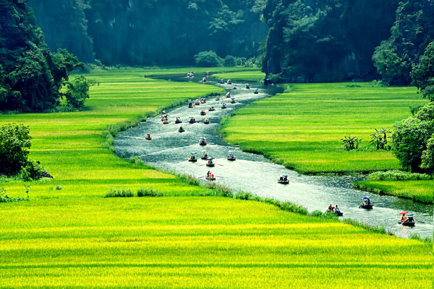 Vietnam20